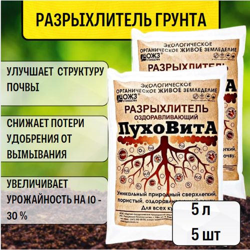 ������ ������ ������������ ��������������� �������� ��������, 5 �, 1.4 ��, 5 ��. ����