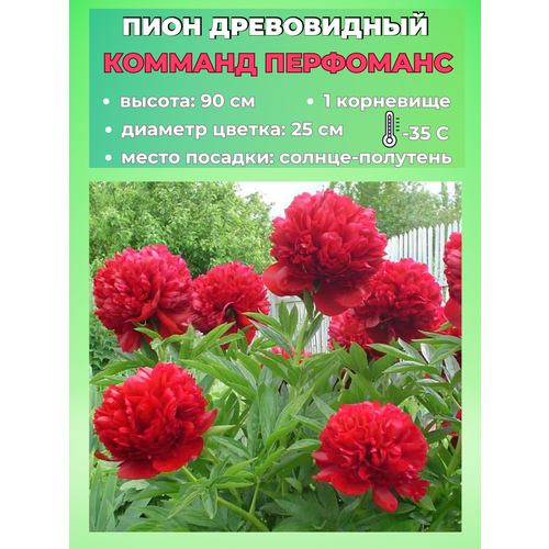 ������ ������ ���� ����������� ������� ���������, ������� 1 ����� ����