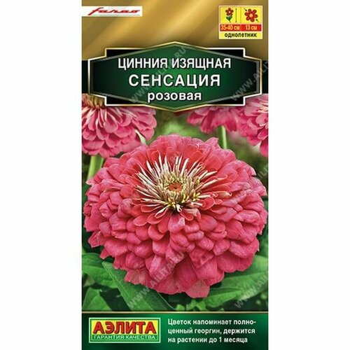 ������ ������ ������ ������ �������� ������� (����������) (������) 12�� Farao ����