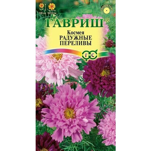 ������ ������ ������ �������� �������� �������� 0,1��. �����. (������) ����