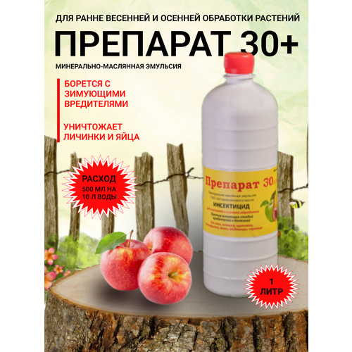 ������ ������ �������� 