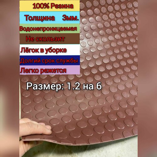 ������ ������ ��������� �������� ��������� � ������ 1.2 � 6 (������, ���� ����������) ��������� ������� ��� ����, ������, �������, ��� ����� ����