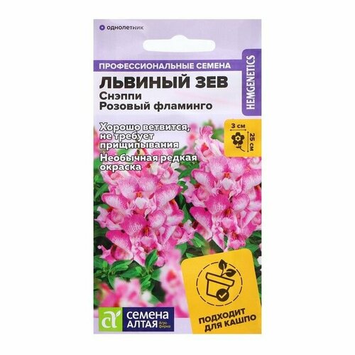 ������ ������ ������ ������� ��� 