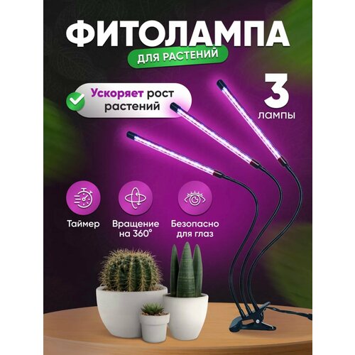 ������ ������ ������������ ��������� - ��� ��������, ������ � �������/������/3 ����������� ����