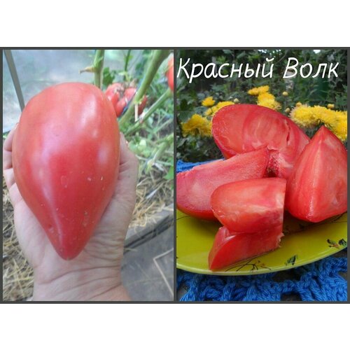 ������ ������ ������������� ������ ������ ������� ���� ����