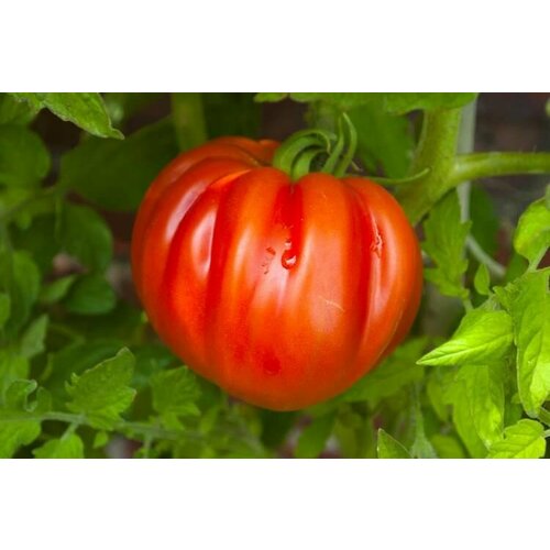 ������ ������ ������������� ������ ������ ������� ������ ����