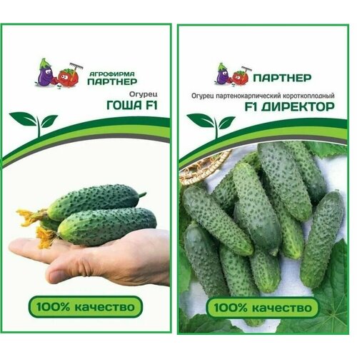 ������ ������ ����� ������ ���� F1 + �������� F1 ������ ������� (2 ��������* 5 �� �����) ����