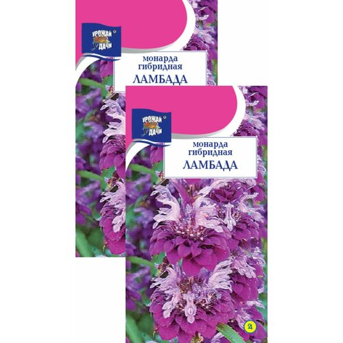 ������ ������ ������� ��������� ������� (0,03 �), 2 ������ ����