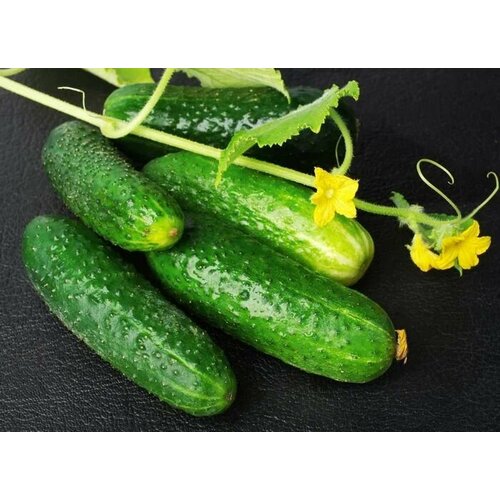 ������ ������ ������������� ������ ������ ������� ����� F1 ����