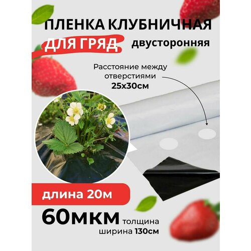 ������ ������ ����� ��� �������� ������������ �����-����� 60��� ����