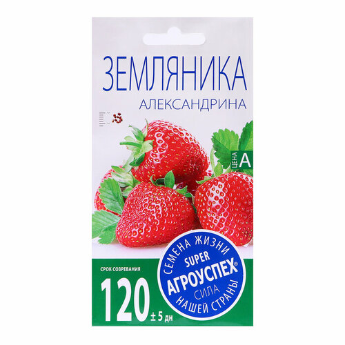 ������ ������ ������ ��������� 