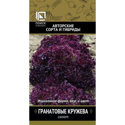 ������ ������ ������ ����� ���������� ������� ������� �������� 1� ������ (�����) ����