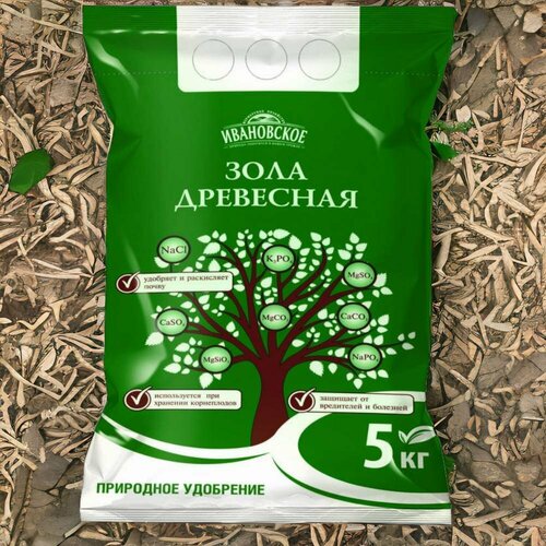 ������ ������ ���� ��������� 5�� / 1�� ����