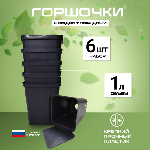 ������ ������ �������� � ��������� ���� ��� ������� 1�, ����� ������������� ��������� 6��, ������ ����