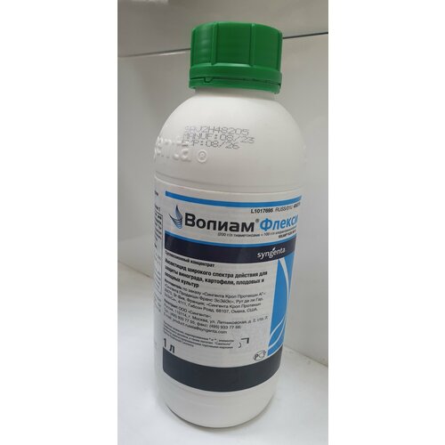 ������ ������ ���������� ������ ������ 1� ����