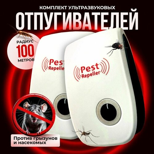 ������ ������ �������������� ������������ �������� � ���������, �����, ��������� ����