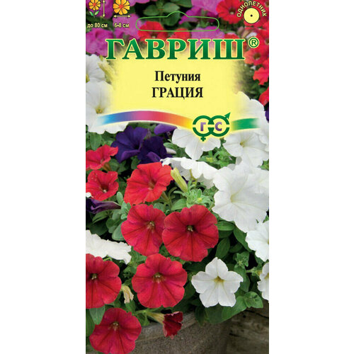 ������ ������ ������ ������� ��������� ������, �����, 5��, ������, ��������� ��������� ����