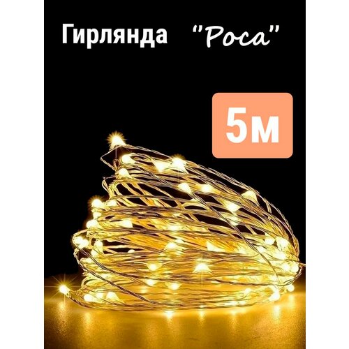 ������ ������ �������� ���� 5 ������ ����