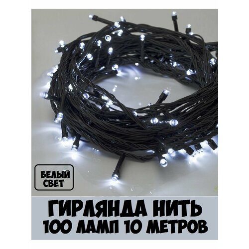 ������ ������ �������� ���� 100 ����� ����,10�, ������ ������ ����