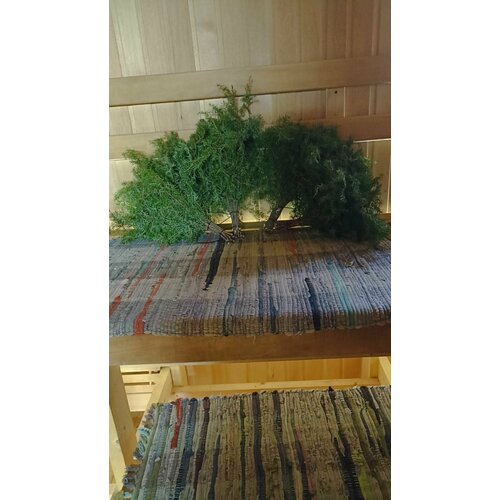 ������ ������ ������ ������������ 4 ��. ����