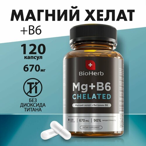  BioHerb MAGNESIUM + B6 ( + 6) , 120    -     , -,   