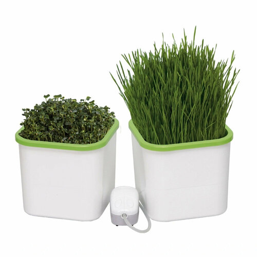 ������ ������ ����������� ������������� �������� ���� 2-� ��������� ����