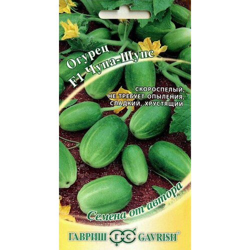 ������ ������ ������. ������ 