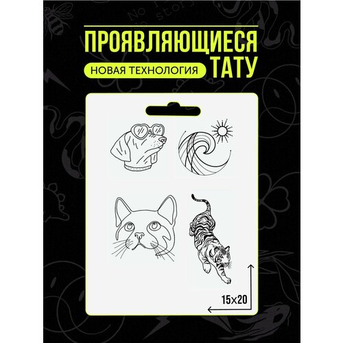 ������ ������ ���� ���������� �������������� �������� ����