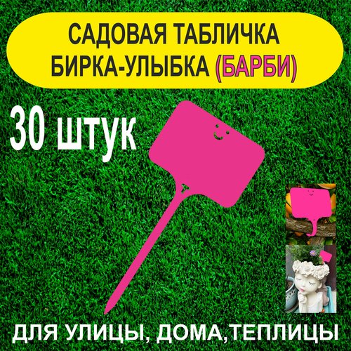 ������ ������ ������� ����� - ������. �������� ��� ��������. 30 ���� (�����) ����