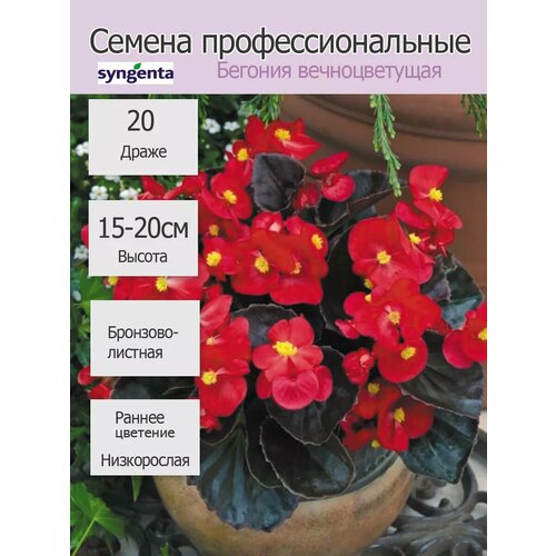 ������ ������ ������� ������������� ���� ��� ������� 20�� ����