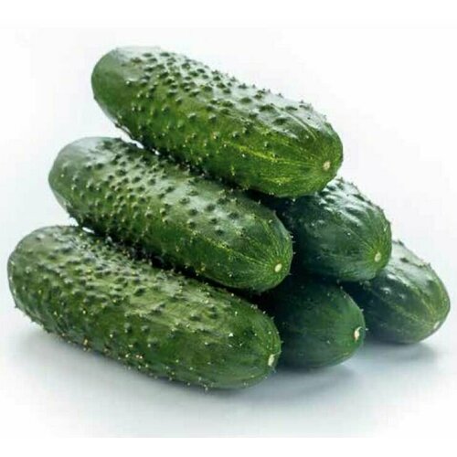 ������ ������ ������������� ������ ������ ��������� F1 ����