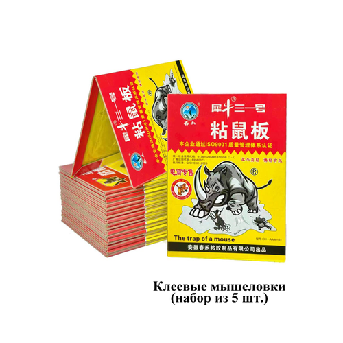 ������ ������ ��������� ������� ��� ����� ������� 5 �� ����