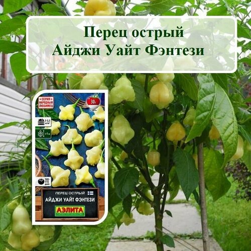 ������ ������ ������ ������ ����� ������ ����� ���� ������� (20 ��. �����) ����