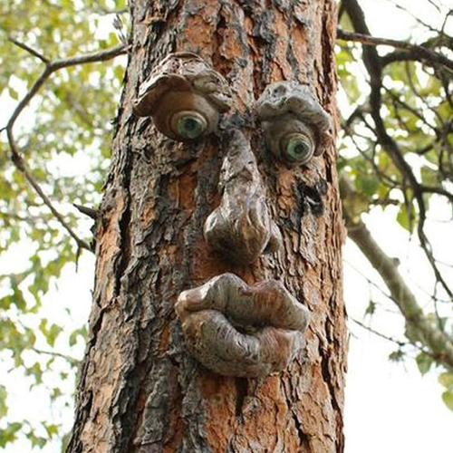 ������ ������ ������� ������ ��� ������ � ����