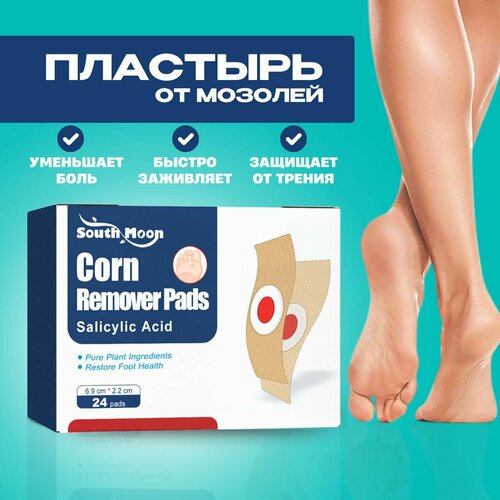 ������ ������ �������� �� ����������, ����� �������, ���������, 24 �� ����