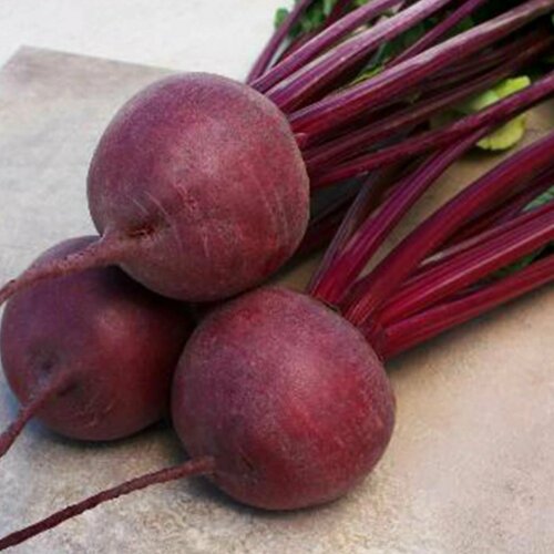 ������ ������ ������������� ������ ������ ������� F1 ����