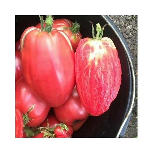 ������ ������ ������������� ������ ������ ������� ������ ����� ����