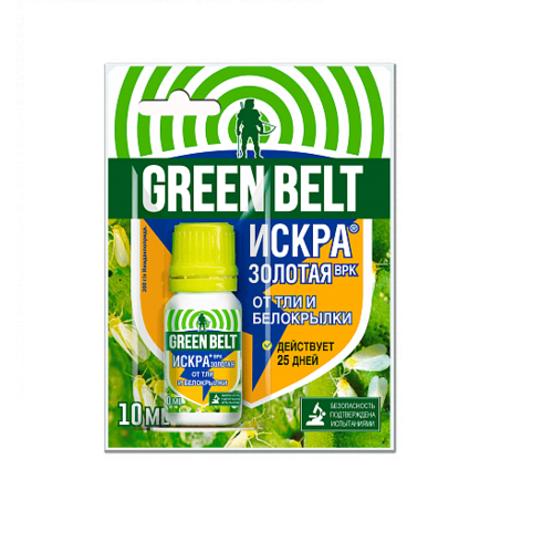 ������ ������ ����� ������� �� ���, ���������� 10�� ����