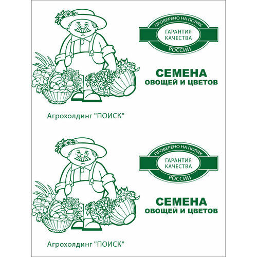 ������ ������ ������ ����� ���������� ���� ����� ������� 0,3 �� 10x8 �� ����