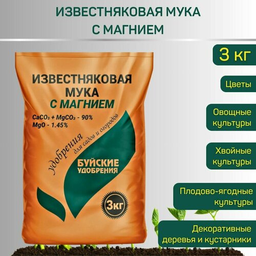 ������ ������ ���� ������������� � �������, 3 �� ����