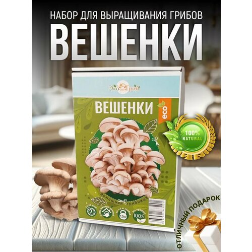 ������ ������ ������� ����� ��� ����������� ����