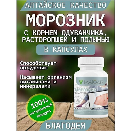 ������ ������ �������� � �����������, ����������� � ������� 