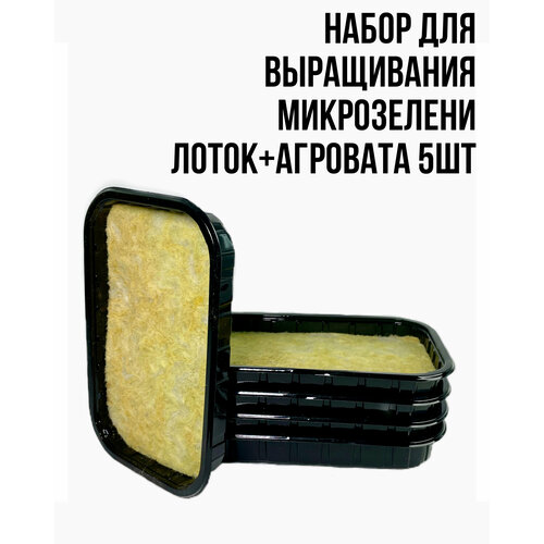 ������ ������ ����� ��� ����������� ���������� (��������+�����) 5�� ����