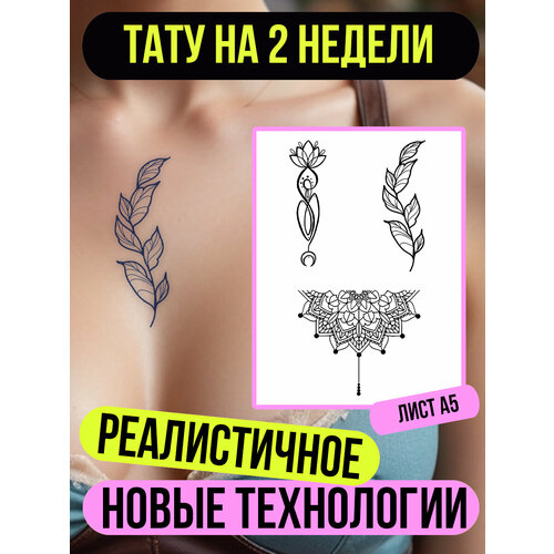 ������ ������ ���� ���������� �������������� �������� ����