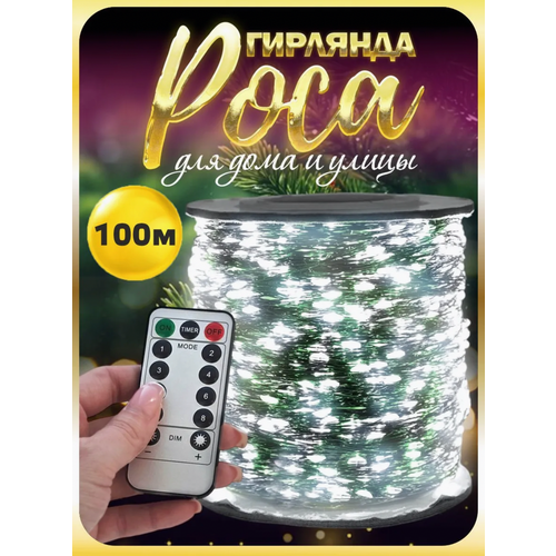 ������ ������ ������������ ��������-����, 100 �, �������� �� ������ �������, ���������� ��������, ����� ���� ����