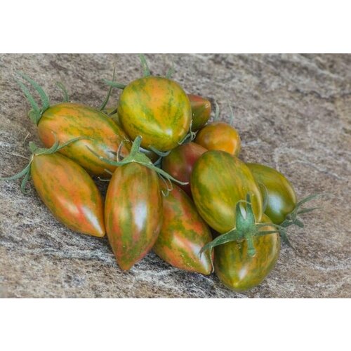 ������ ������ ������ ������ ���������� ���� (Artisan Lucky Tiger) / Seeds And Goods / � �������� zip-lock ��� ���������� 10 ����� ����