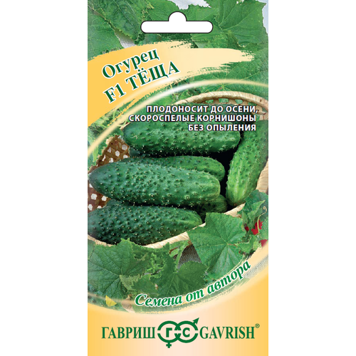 ������ ������ ������ ������ ���� F1 10�� ������������������ ������ (������) ����� ����