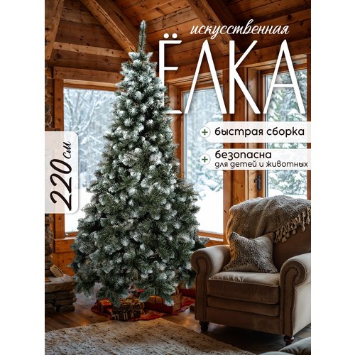 ������ ������ ������������� ����������� ���� 