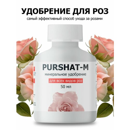 ������ ������ ��������� ������ ��� ��� � ������ 50 �� ����