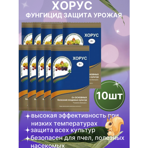 ������ ������ �������� ������ �������� �� �������� ����� 10 �� ����